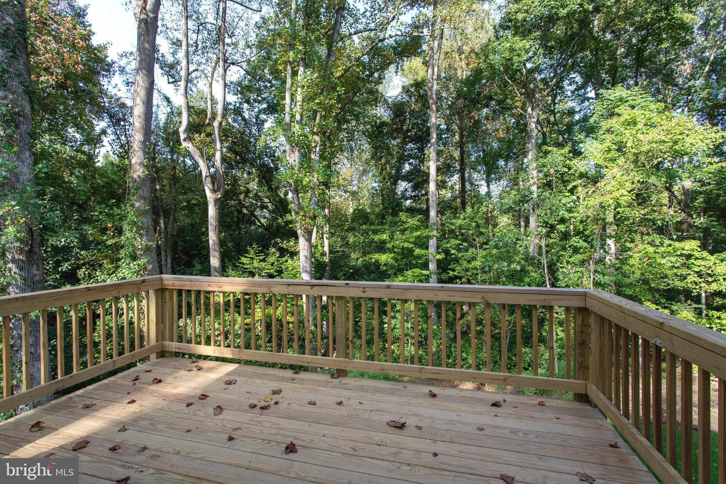29057 Ann Circle photo 65