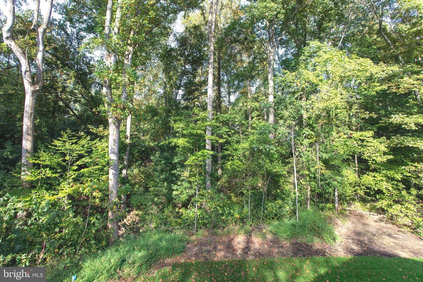 29057 Ann Circle photo 67