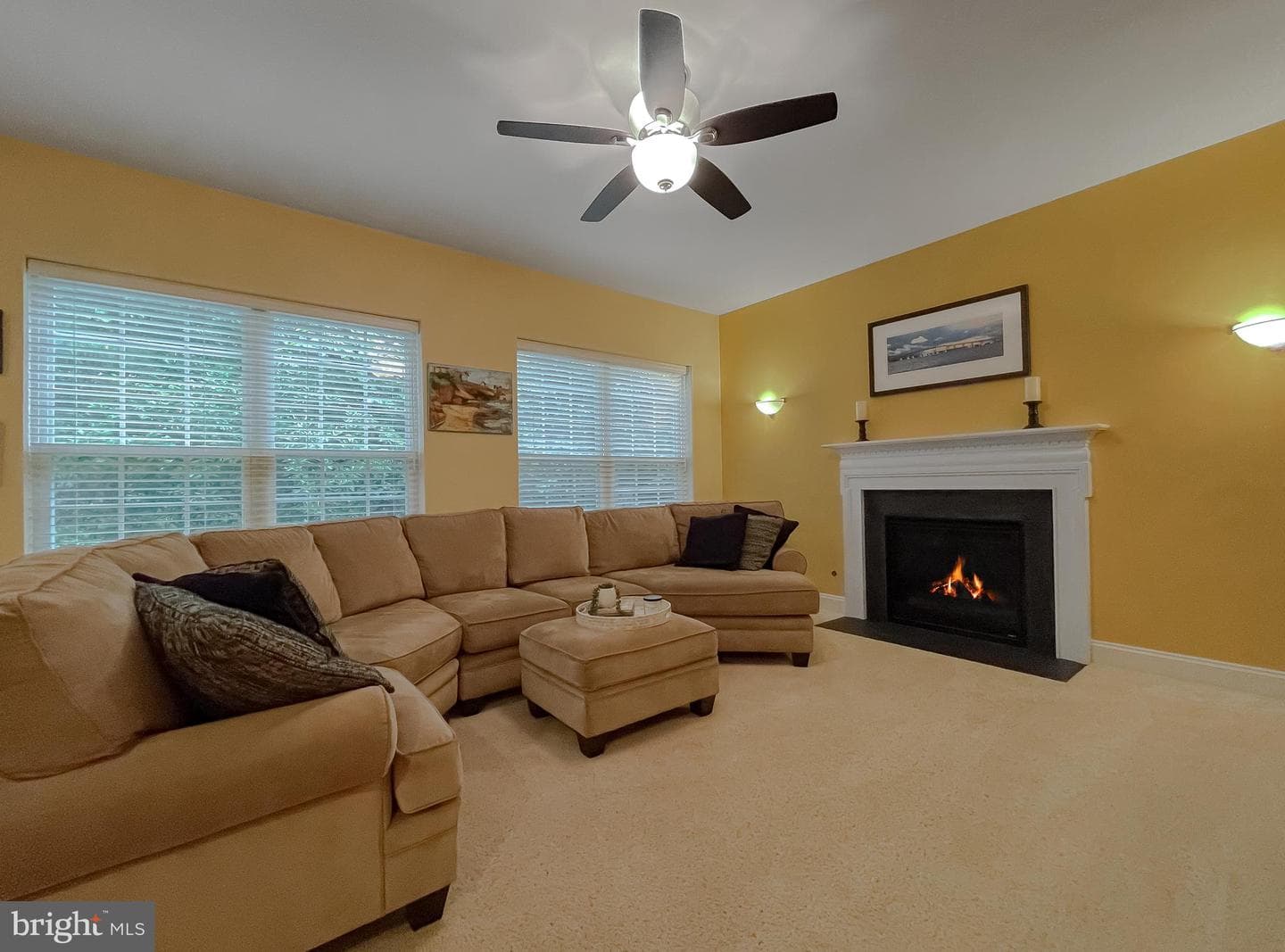 23321 Dianthus Way photo 27