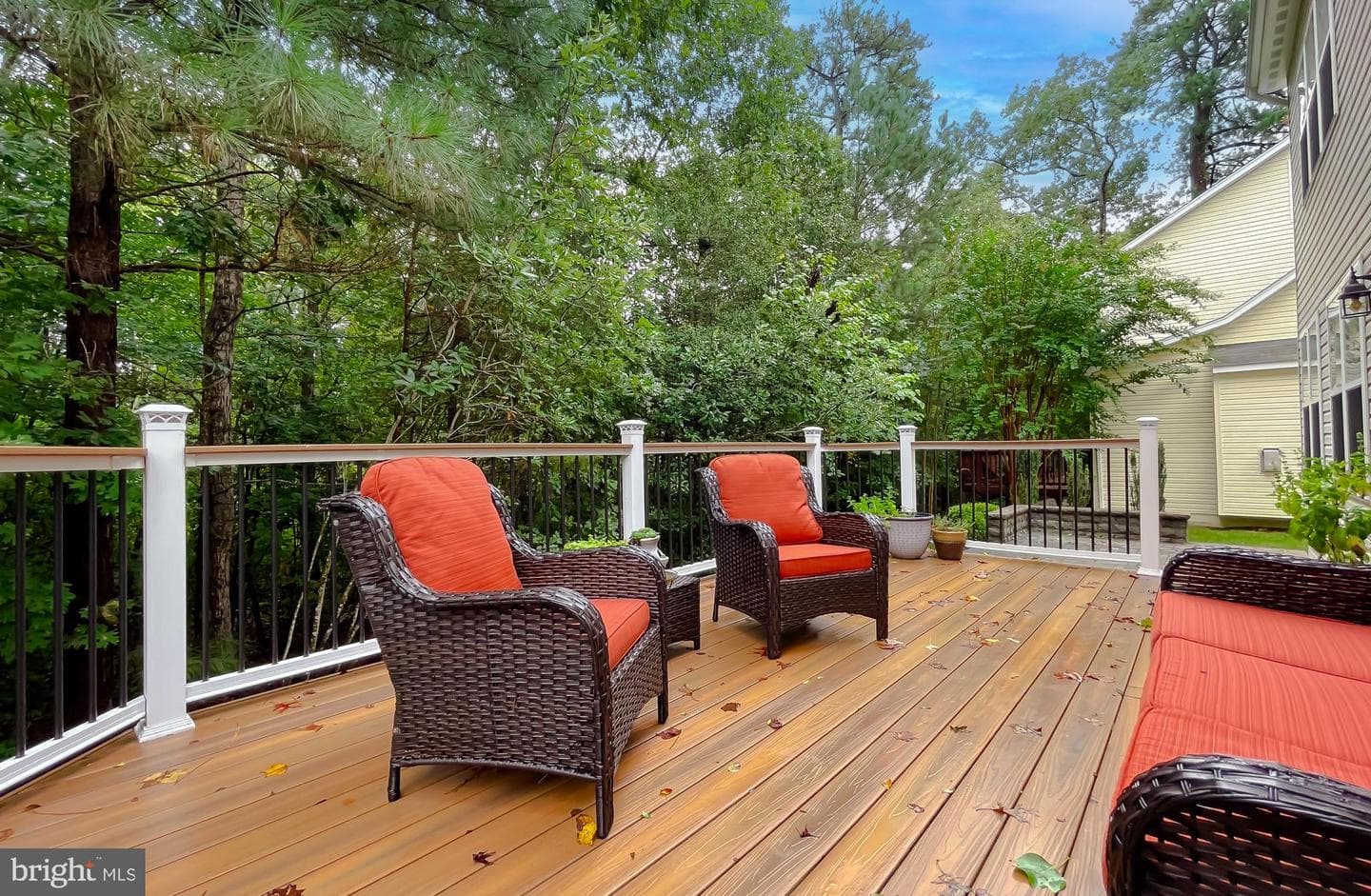 23321 Dianthus Way photo 4