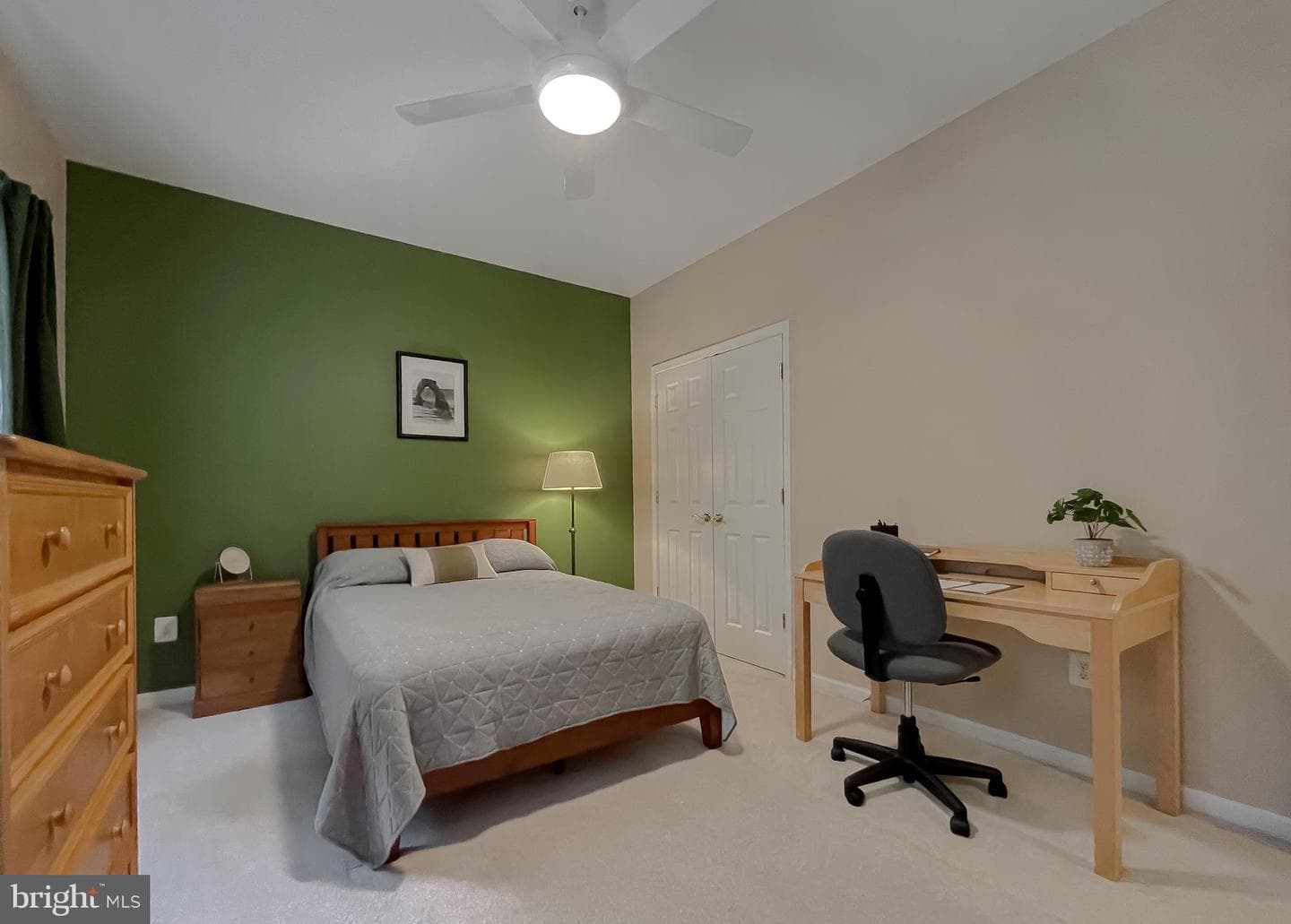 23321 Dianthus Way photo 47