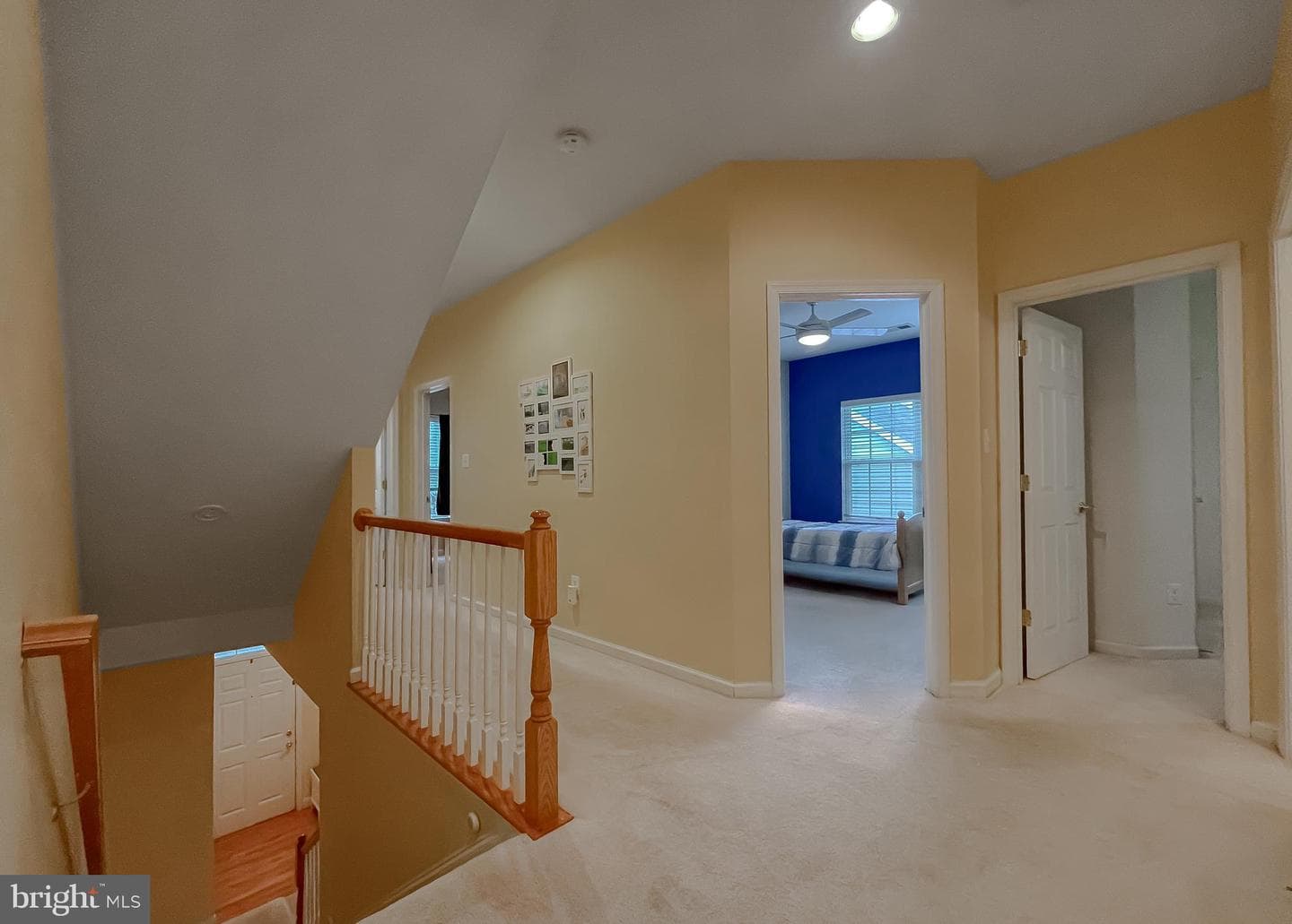 23321 Dianthus Way photo 51
