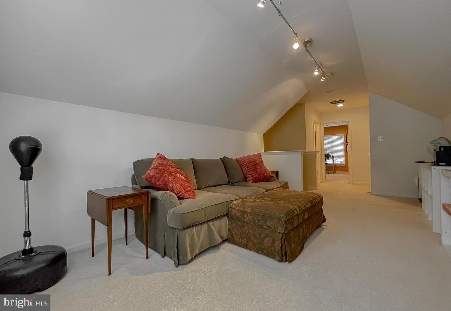 23321 Dianthus Way photo 52