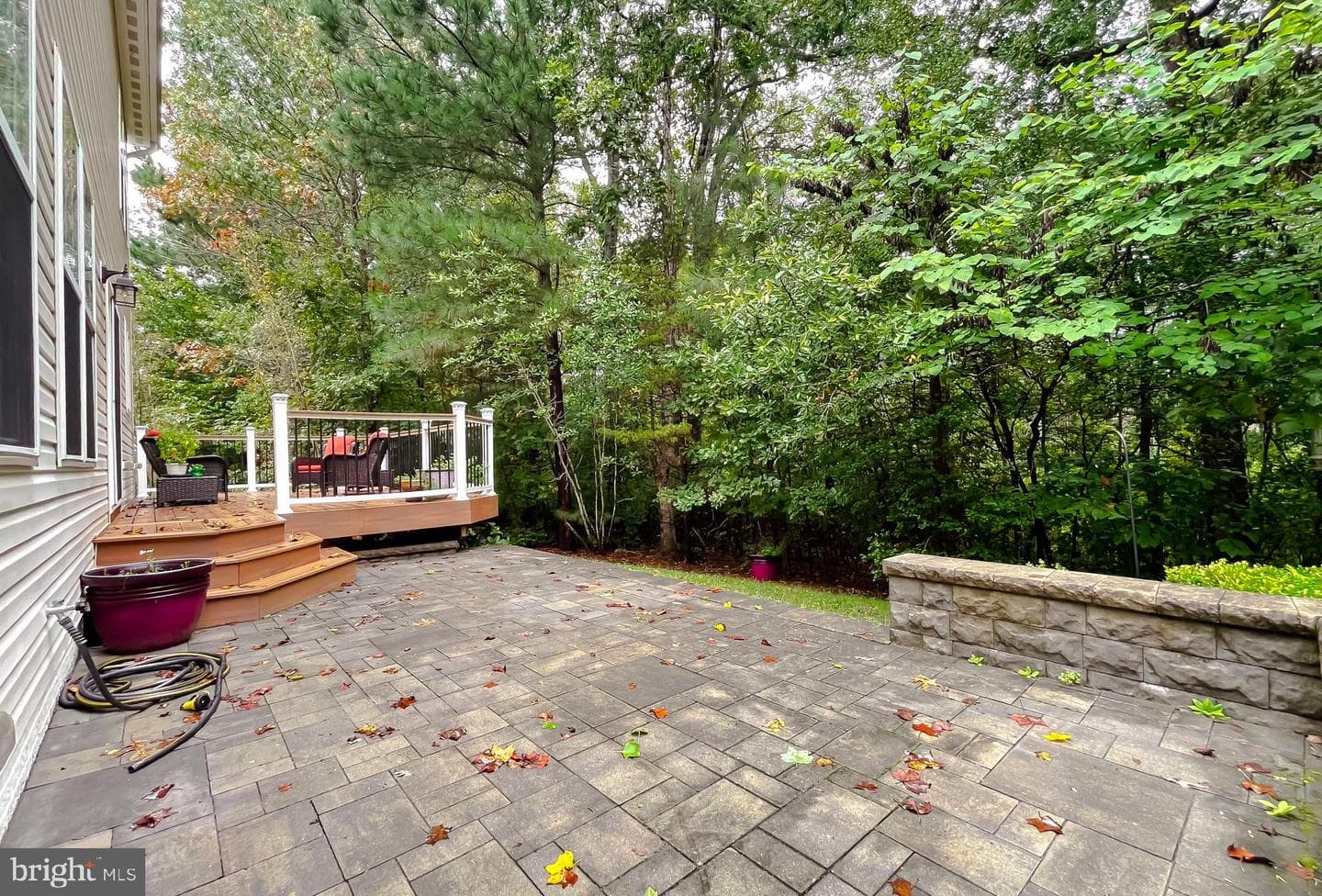 23321 Dianthus Way photo 6