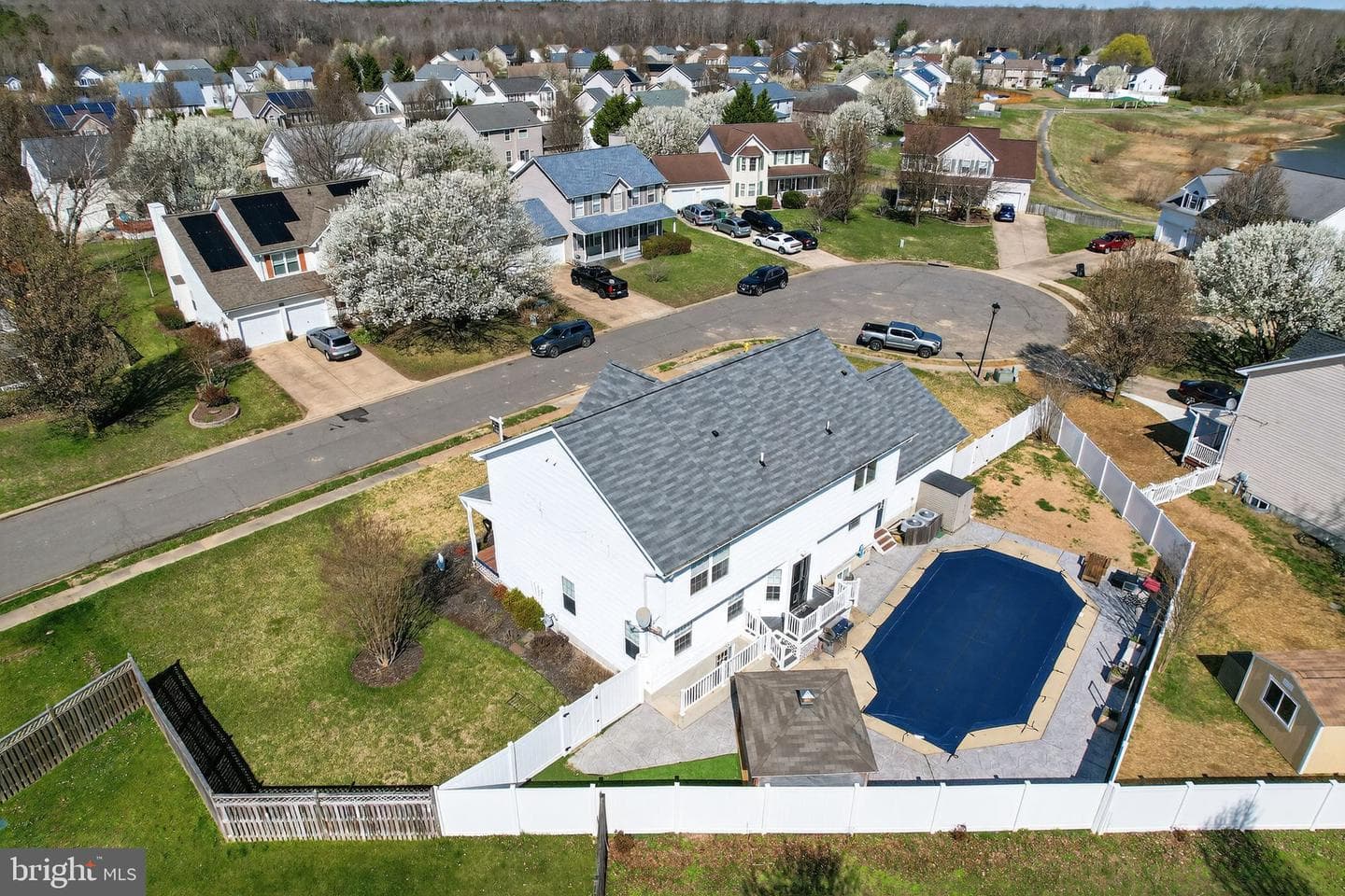 22136 Snapdragon Court photo 37