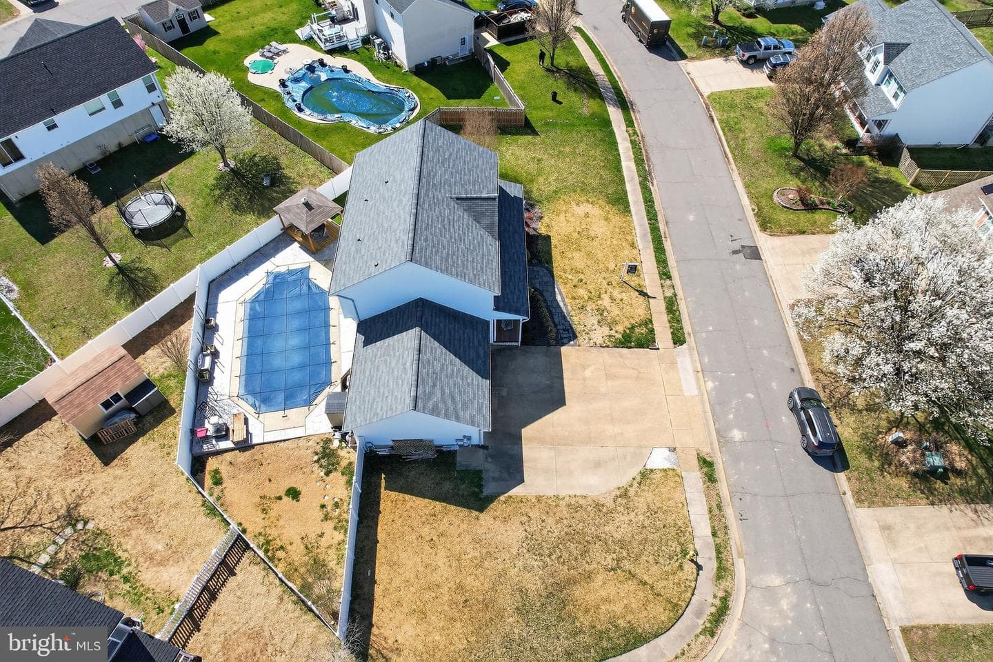 22136 Snapdragon Court photo 40