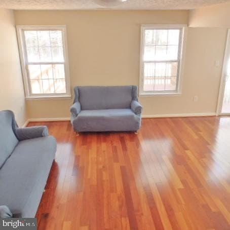 47990 Piney Orchard Street photo 4