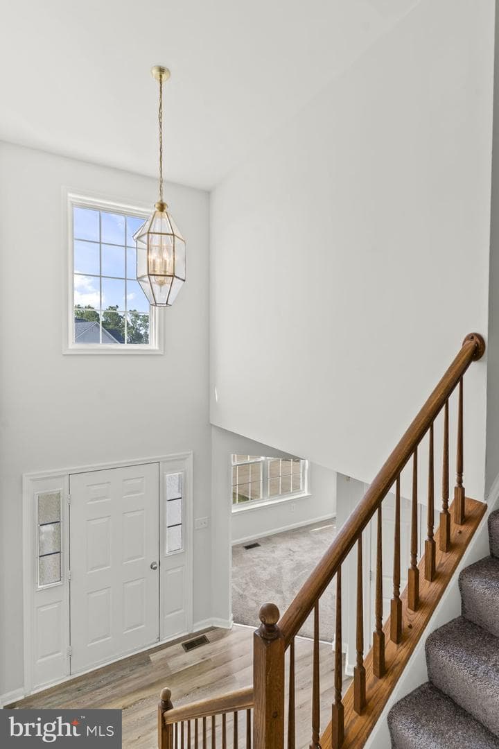 47109 Sorrel Drive photo 30