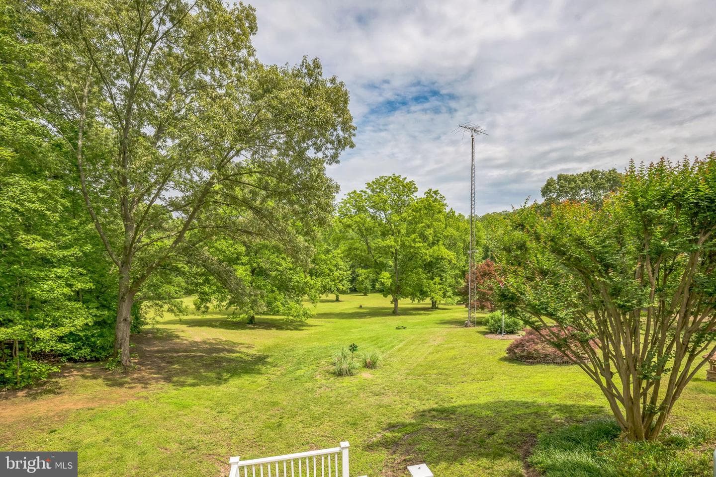 29542 Carol Lane photo 34