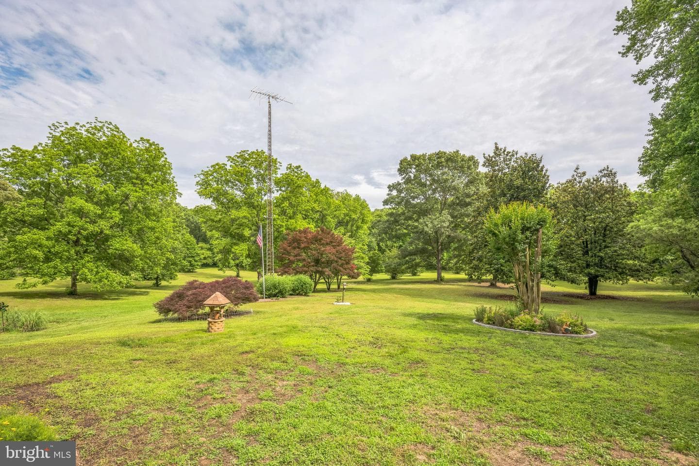 29542 Carol Lane photo 36