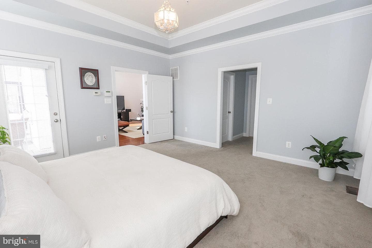 24541 Broad Creek Drive photo 29