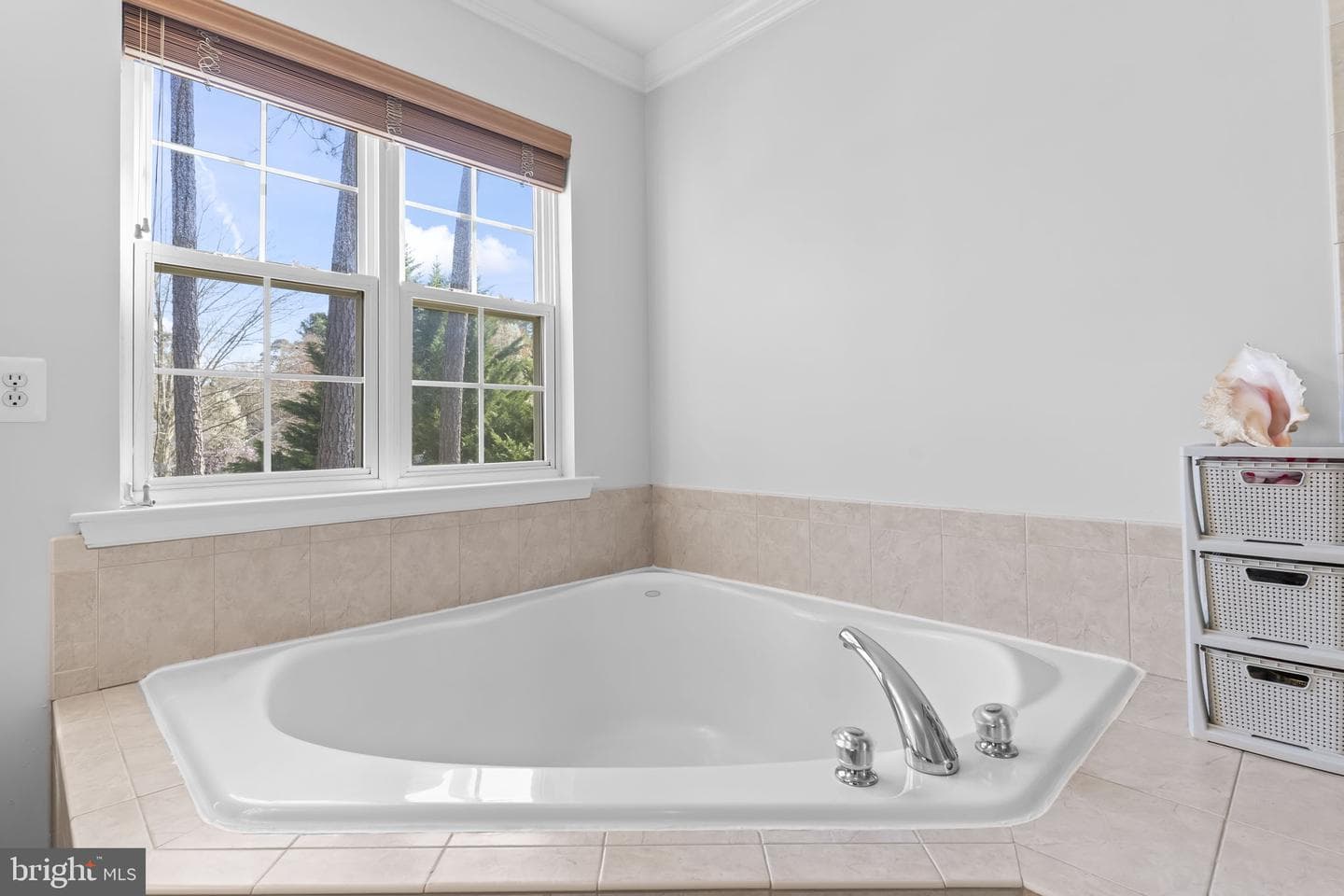 21544 Oxford Drive photo 38