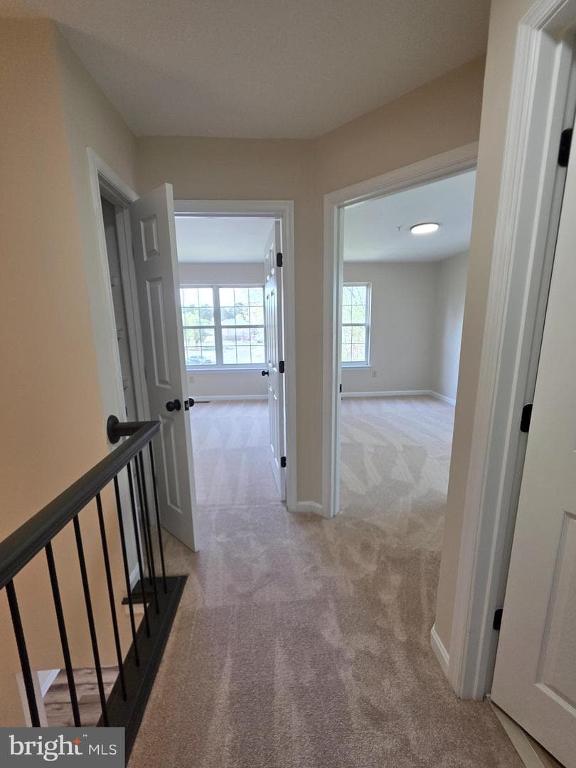22098 Saint Inigoes Court photo 17