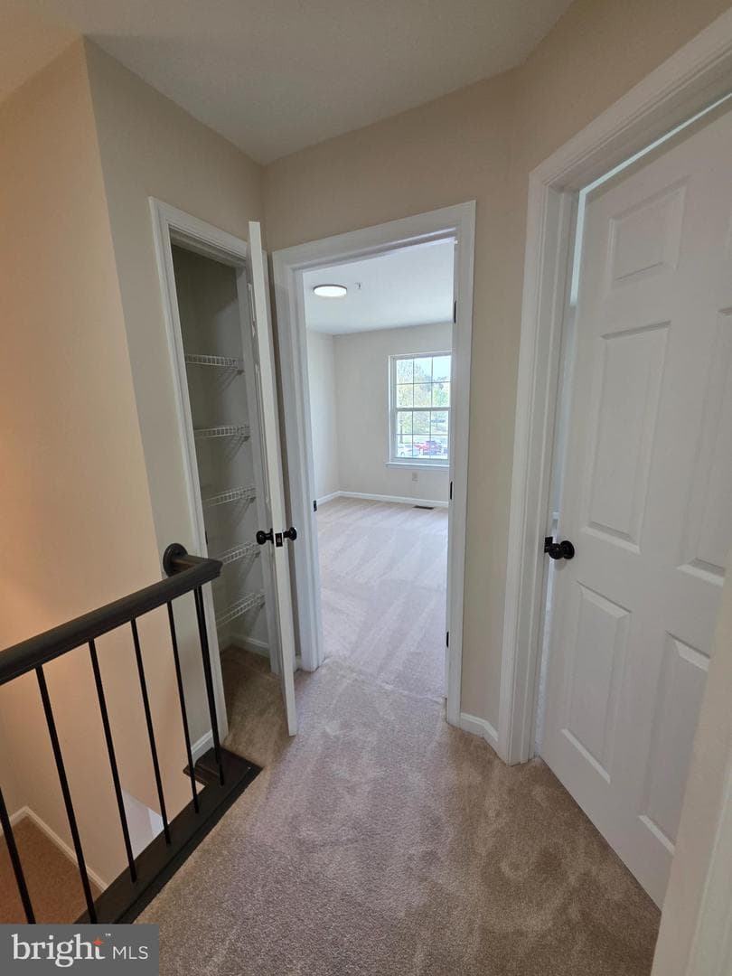 22098 Saint Inigoes Court photo 18