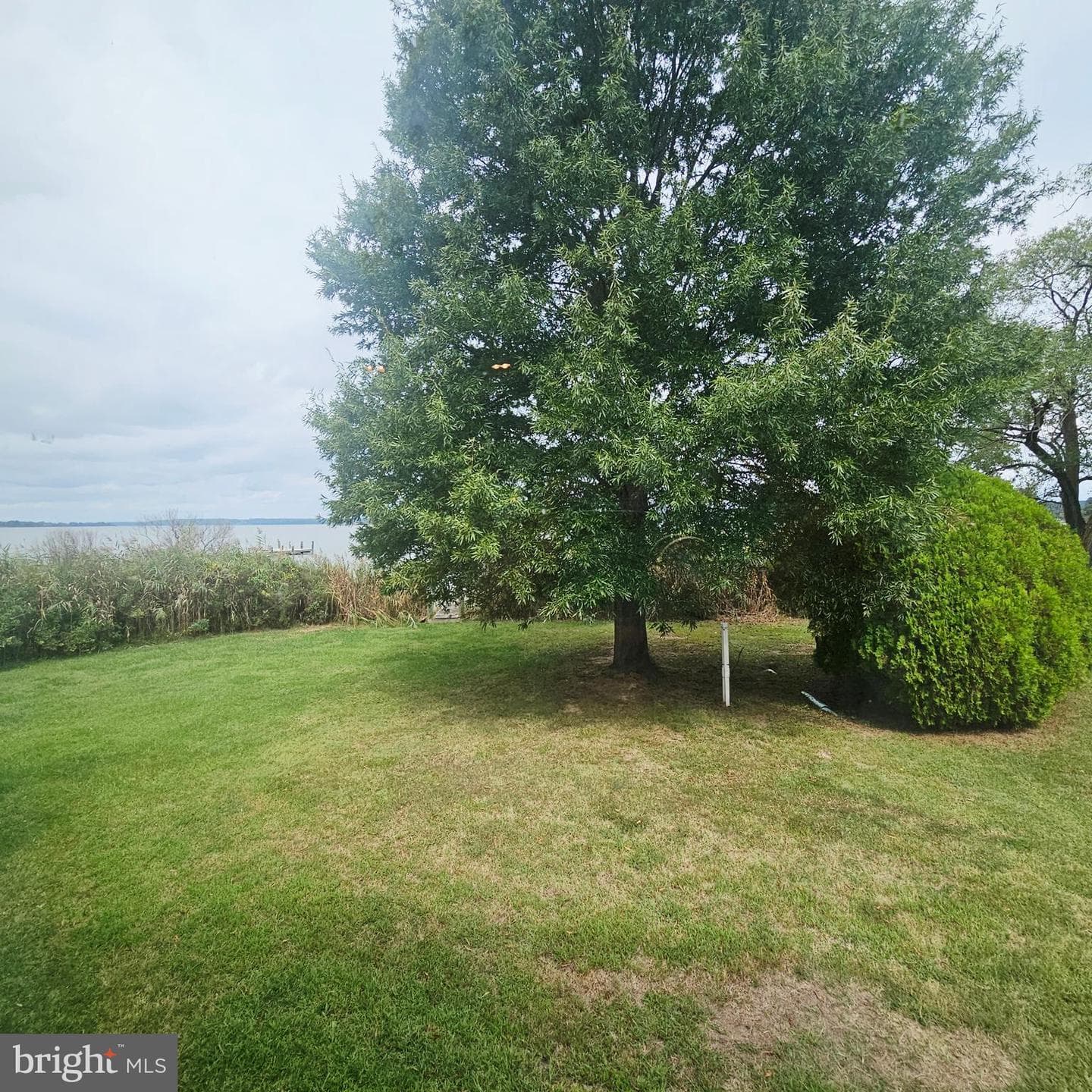 36026 Bay Drive photo 46