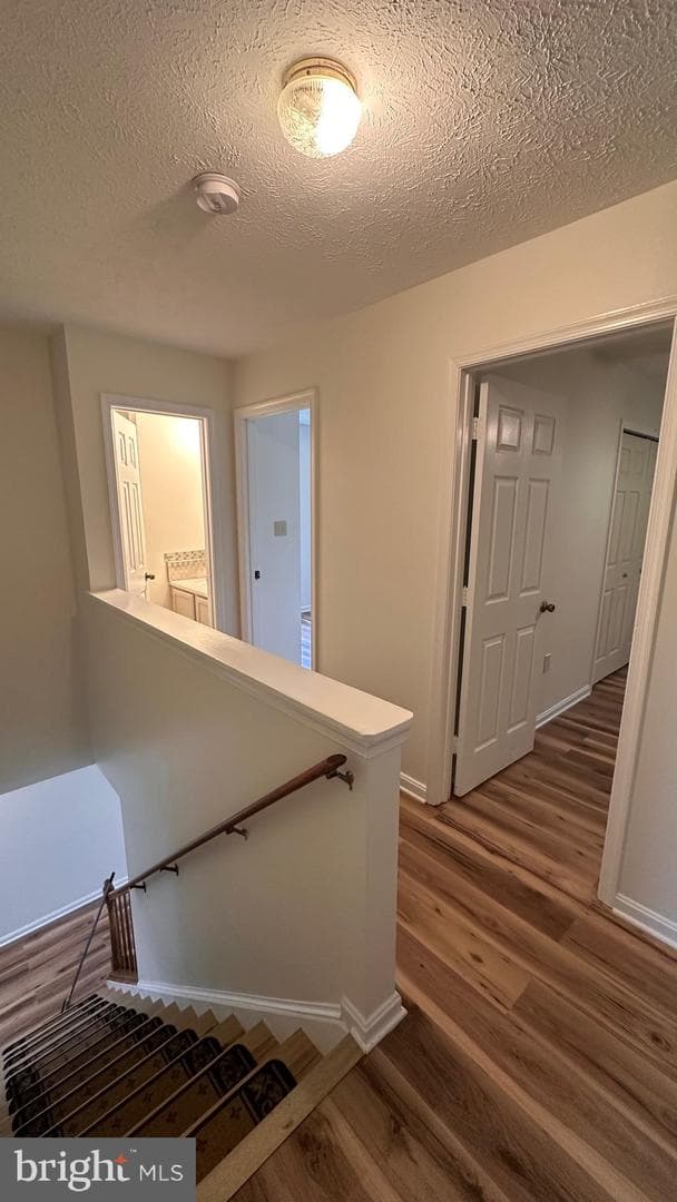 21357 Carmen Woods Dr photo 6