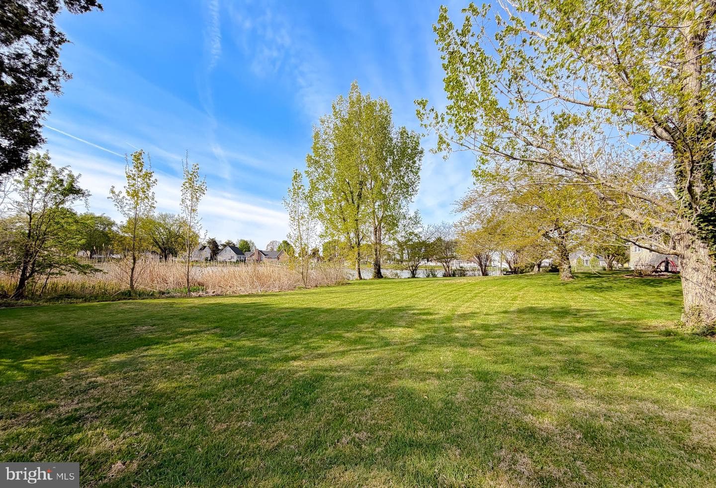 21225 Georges Lane photo 49