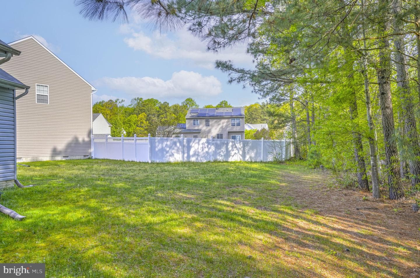 21364 Sundew Place photo 25