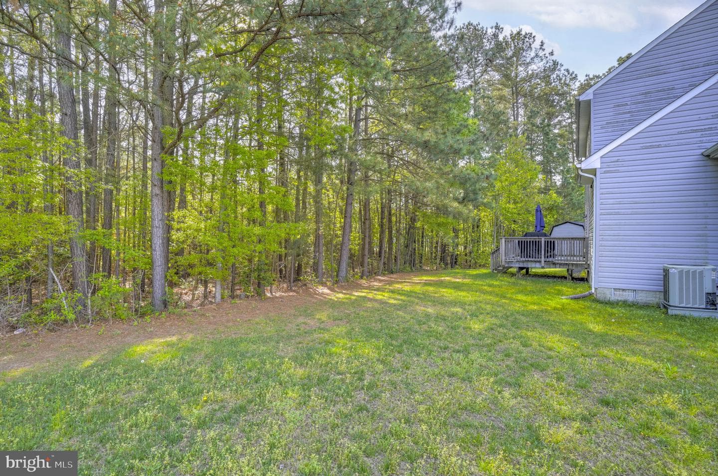 21364 Sundew Place photo 26