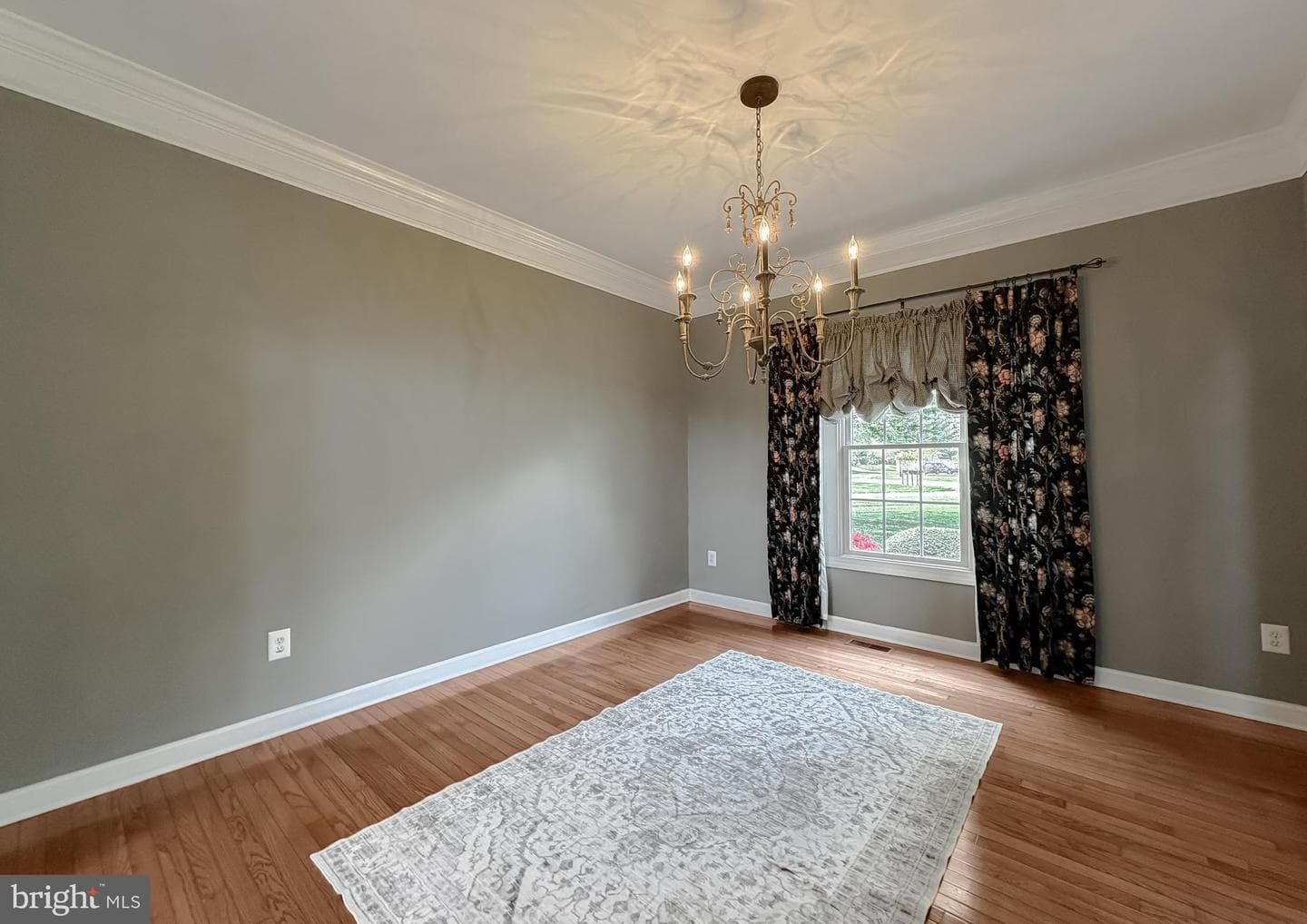 24570 Spriggs Court photo 4