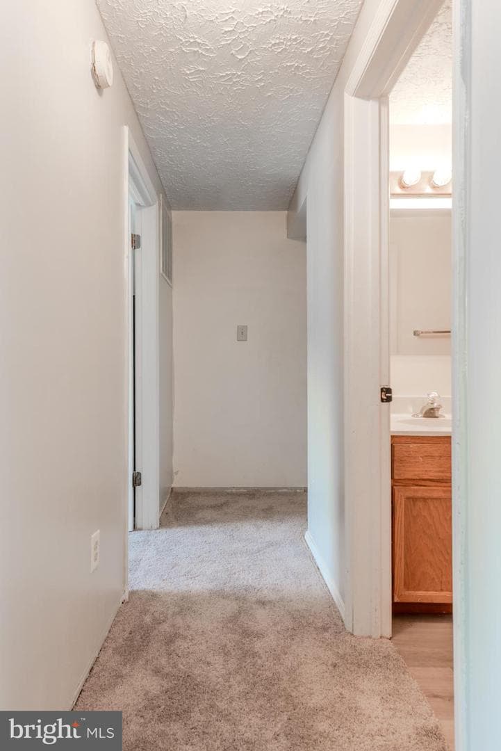 20835 Harlequin Lane photo 4