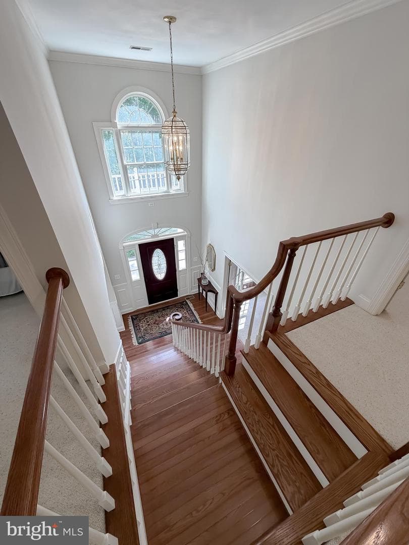 43500 Deer Run Court photo 43