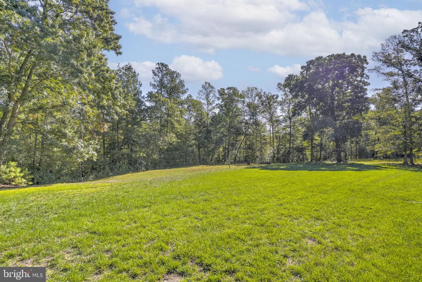 43063 Hugh Drive photo 5
