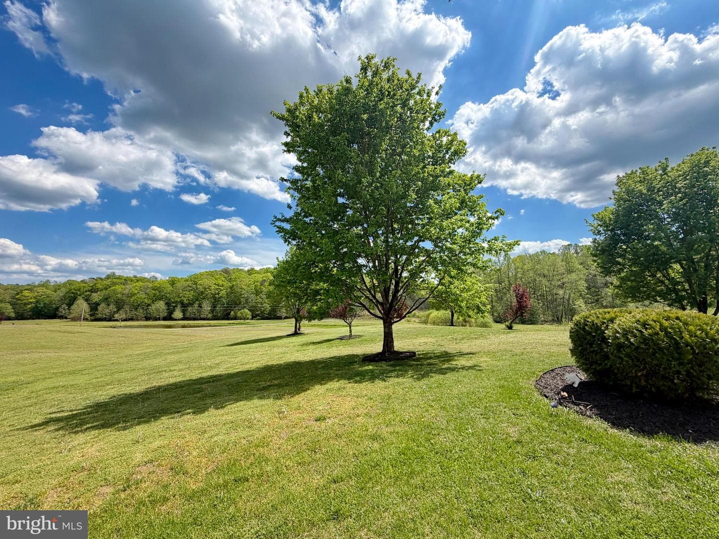 28575 Harvest Lane photo 126