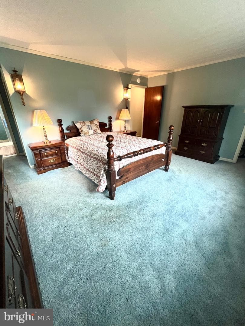 38310 Pleasant View Drive photo 22