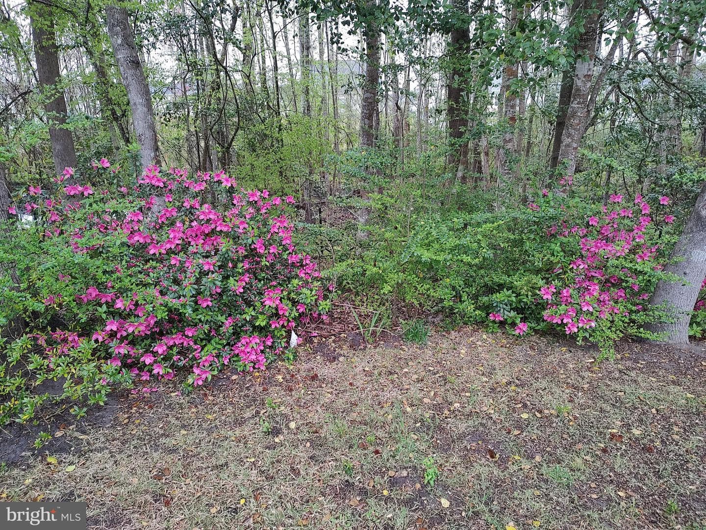 38310 Pleasant View Drive photo 4