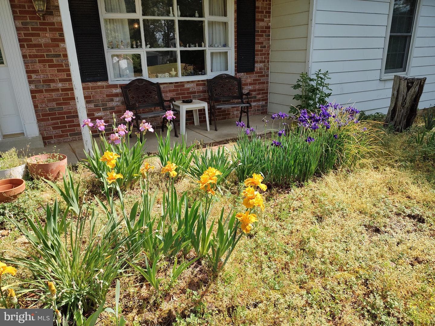 38310 Pleasant View Drive photo 6