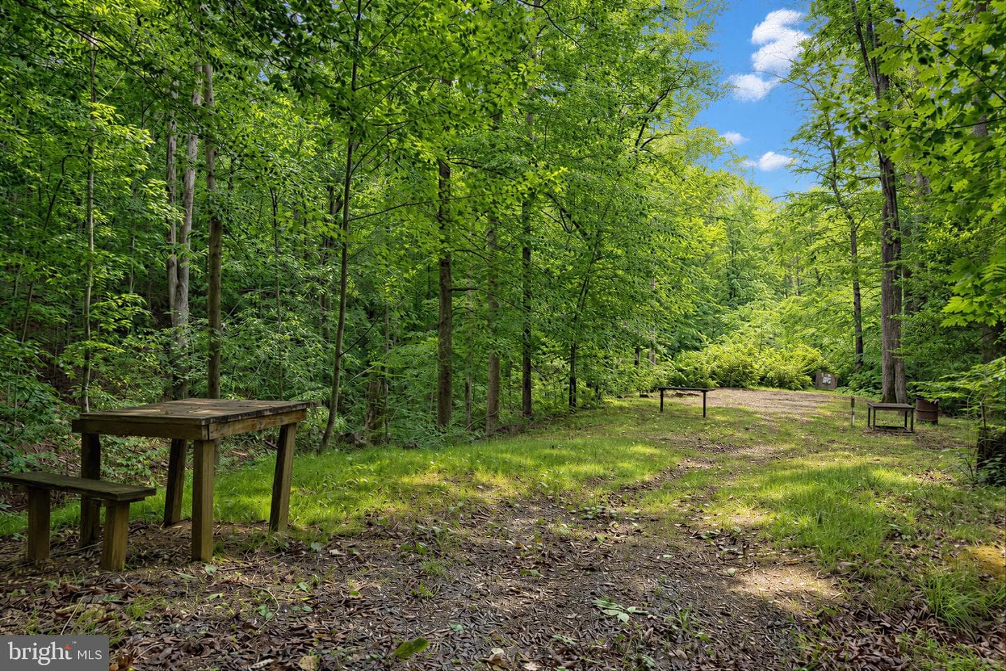 39655 Persimmon Creek Road photo 33