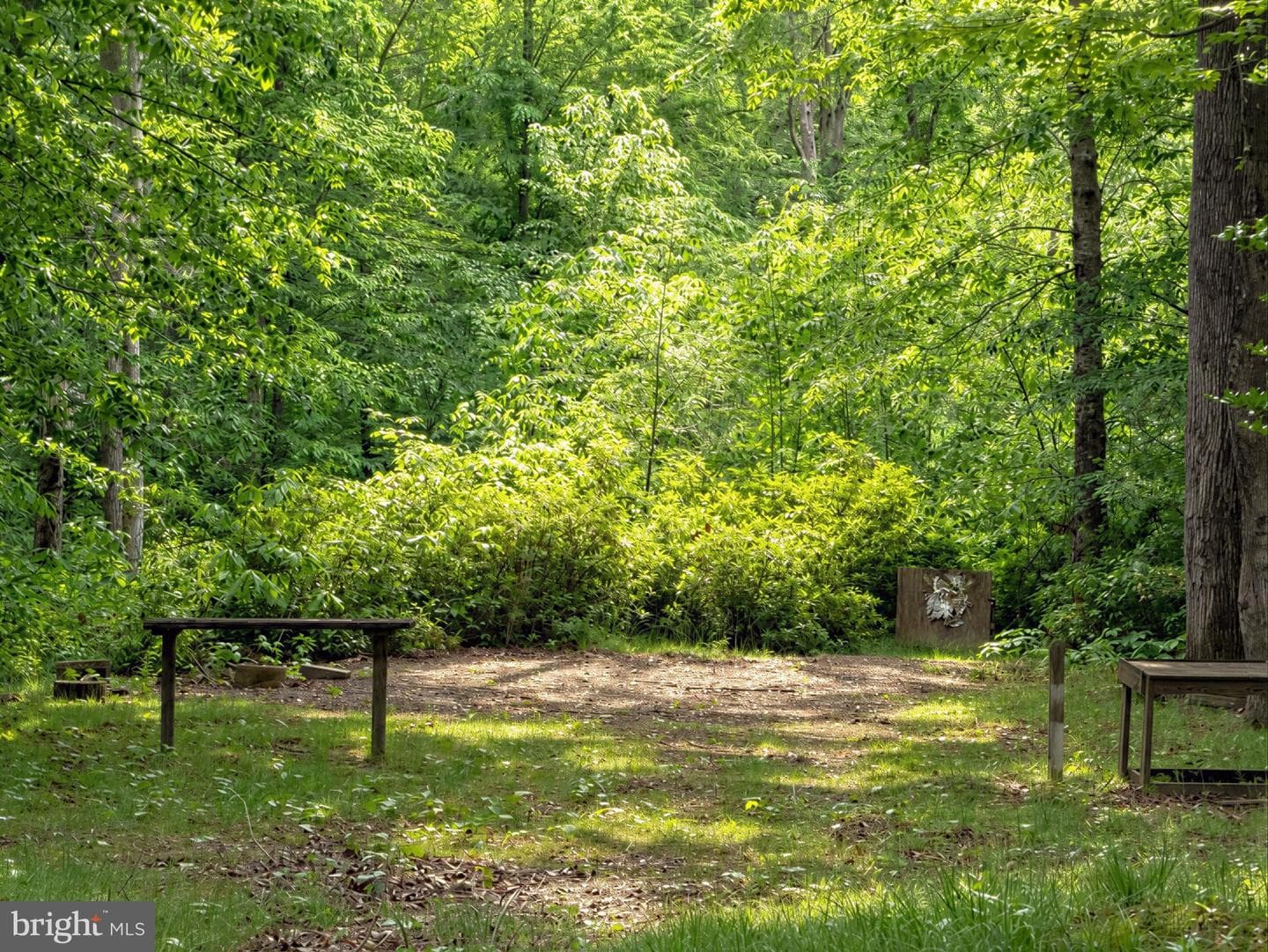 39655 Persimmon Creek Road photo 34