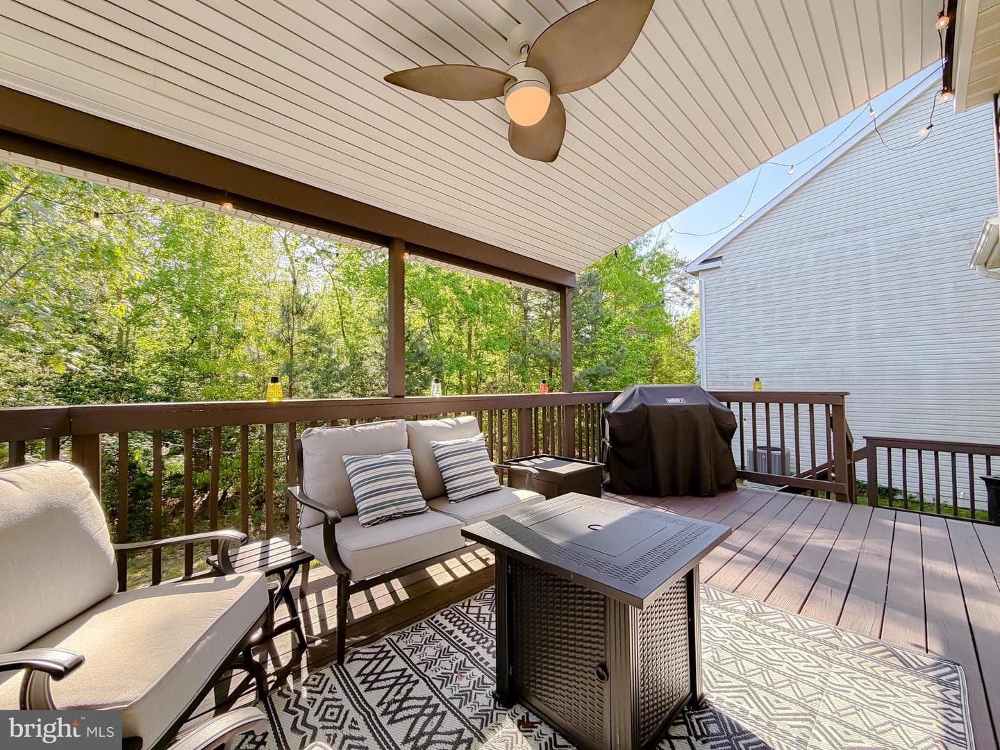 23333 Dianthus Way photo 62