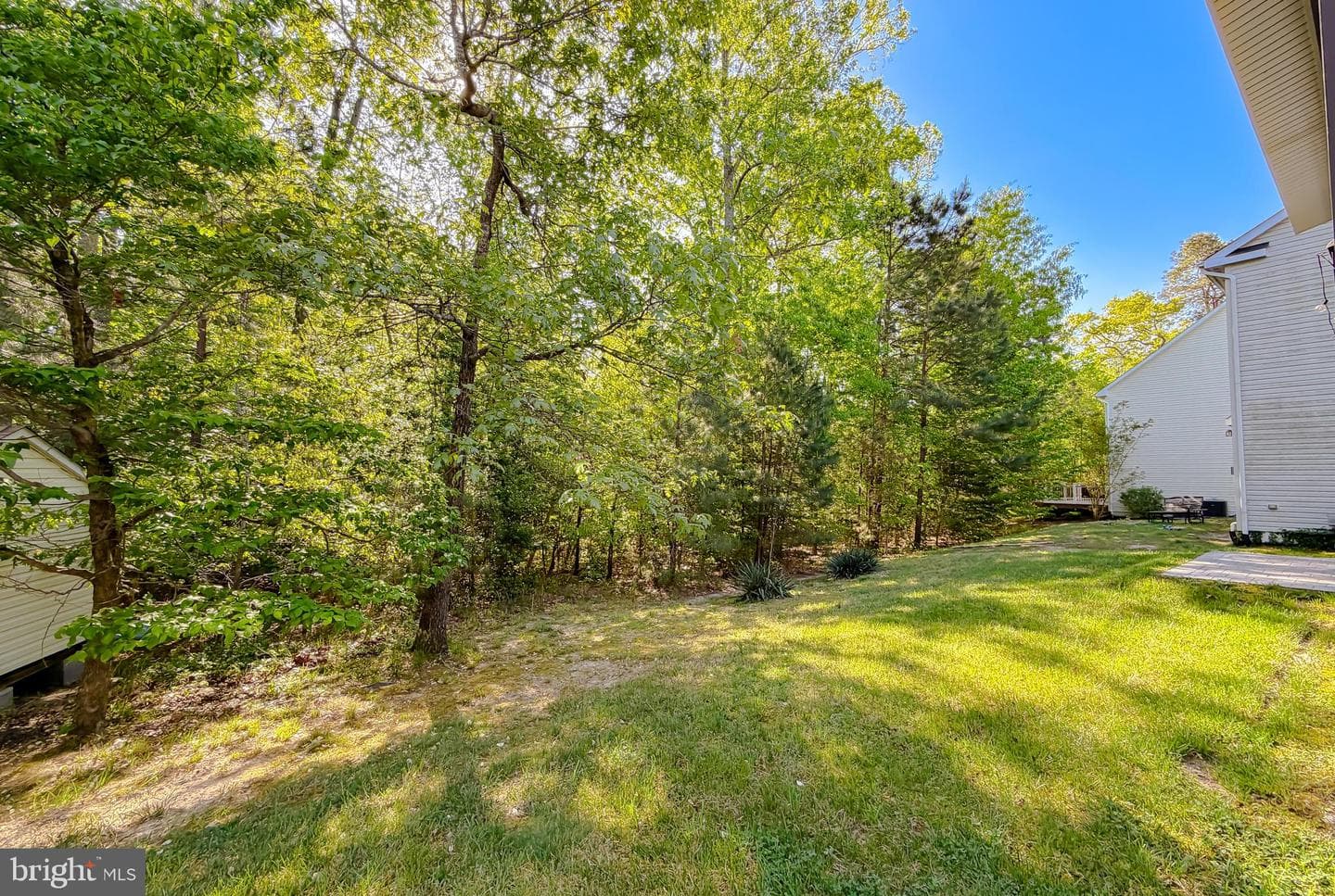 23333 Dianthus Way photo 65