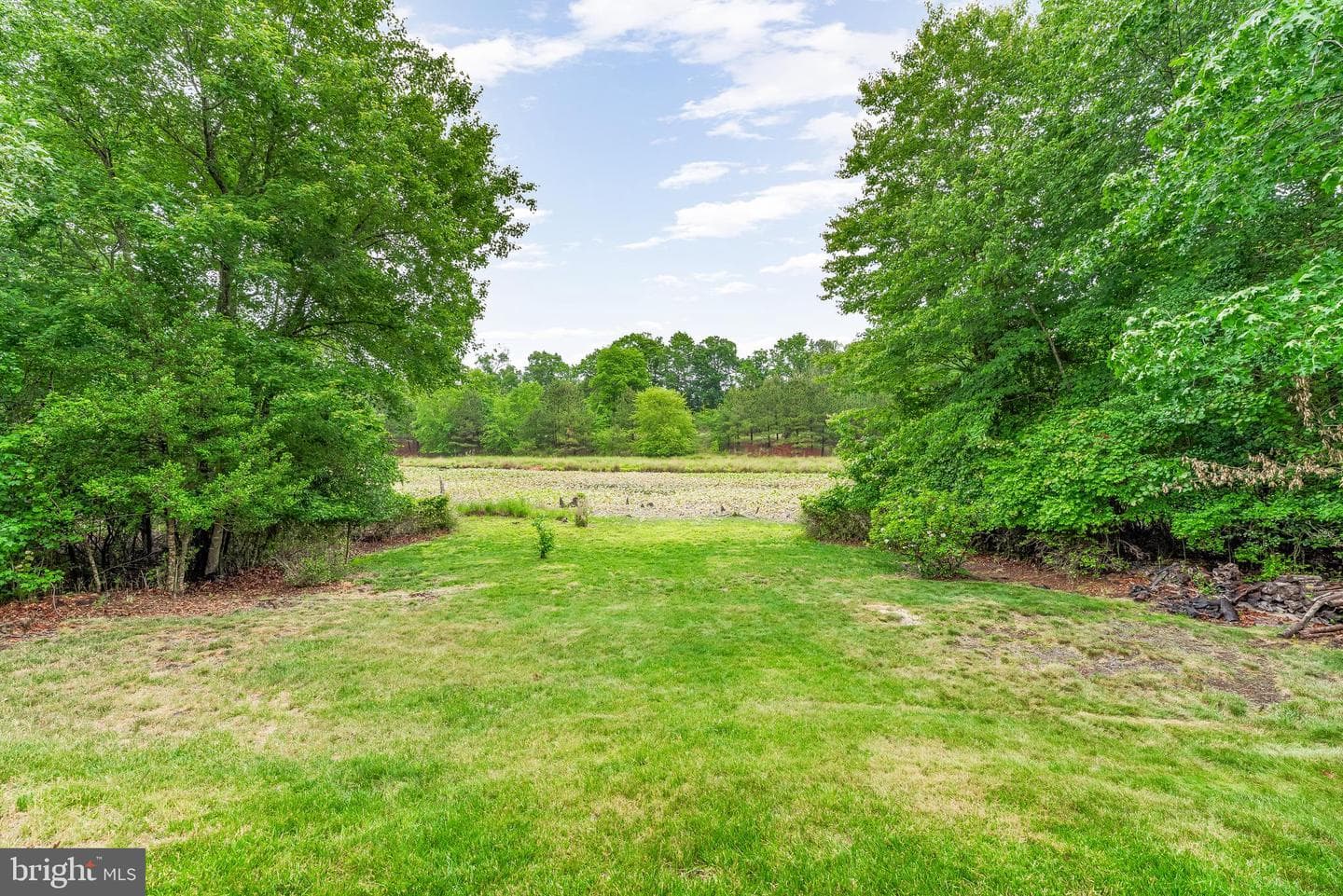 23302 Misty Pond Lane photo 42