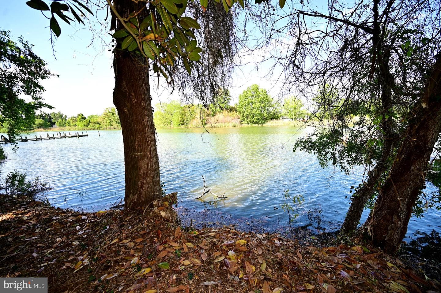 37406 River Springs Road photo 27