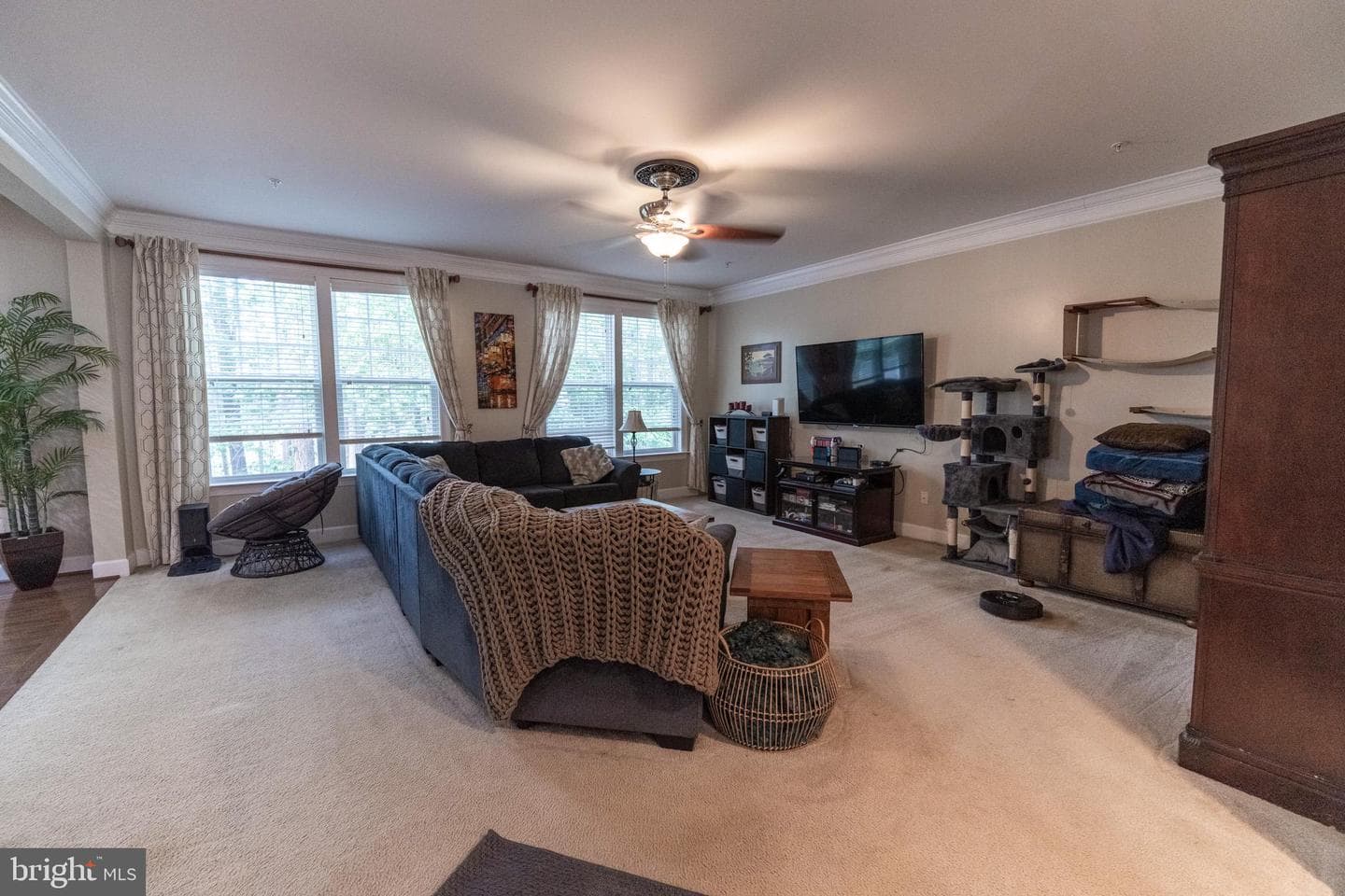 43675 Wild Iris Street photo 17