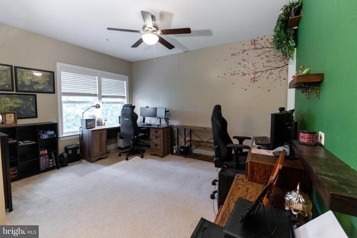 43675 Wild Iris Street photo 29