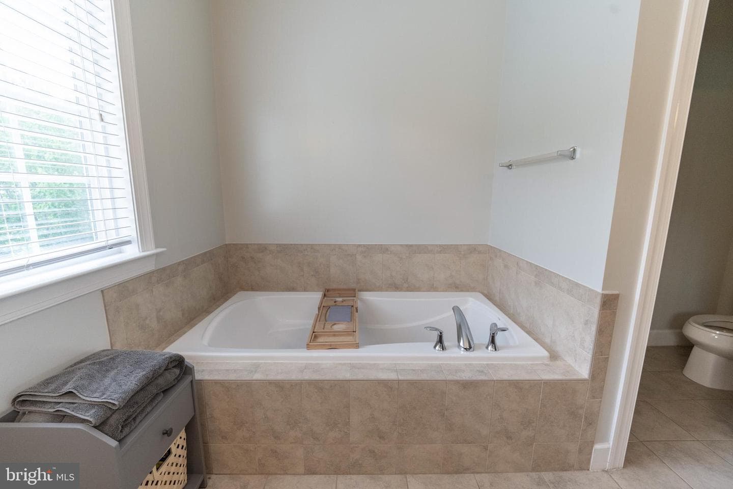 43675 Wild Iris Street photo 31