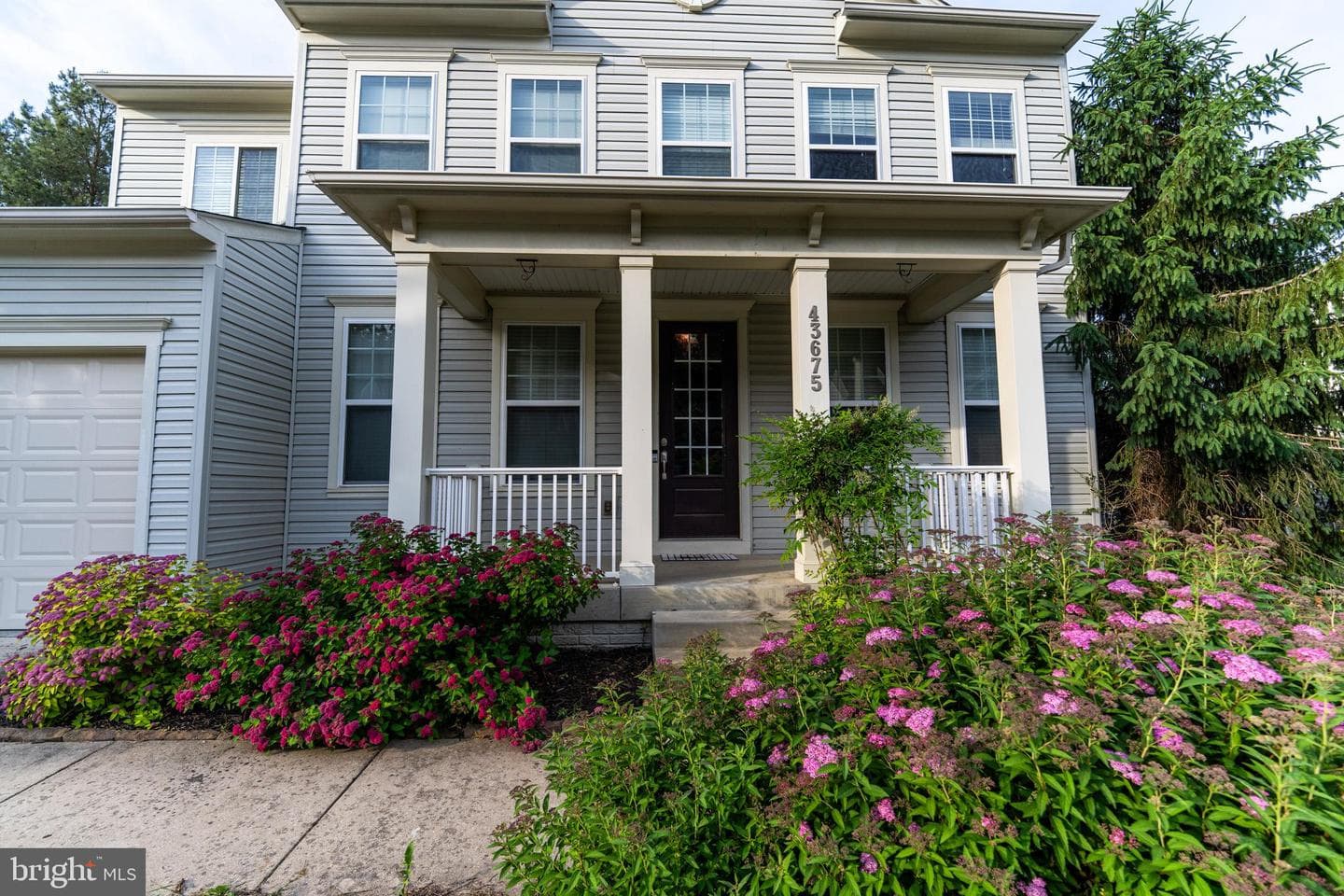 43675 Wild Iris Street photo 40