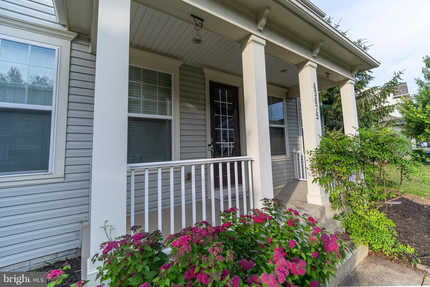 43675 Wild Iris Street photo 41