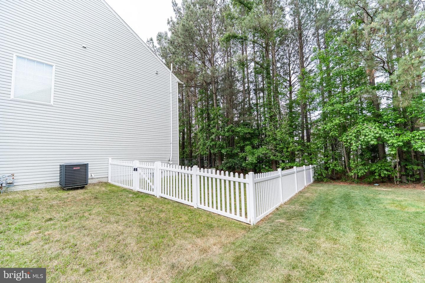 43675 Wild Iris Street photo 43