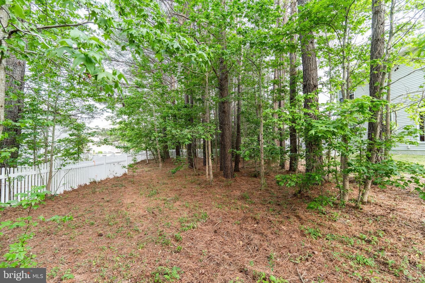 43675 Wild Iris Street photo 47