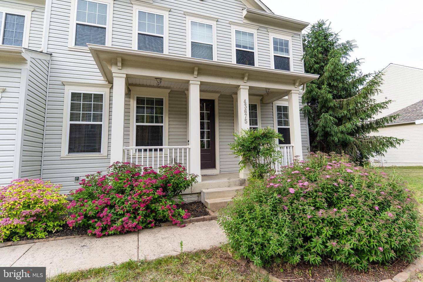 43675 Wild Iris Street photo 49