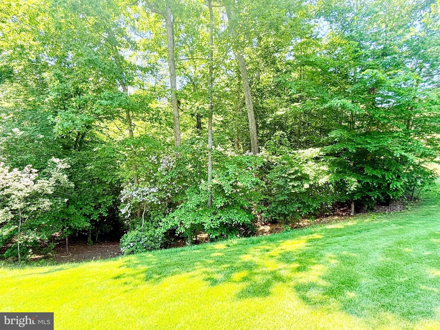42102 Woody Lane photo 37