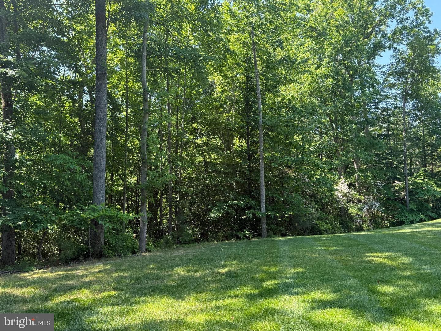 42102 Woody Lane photo 39