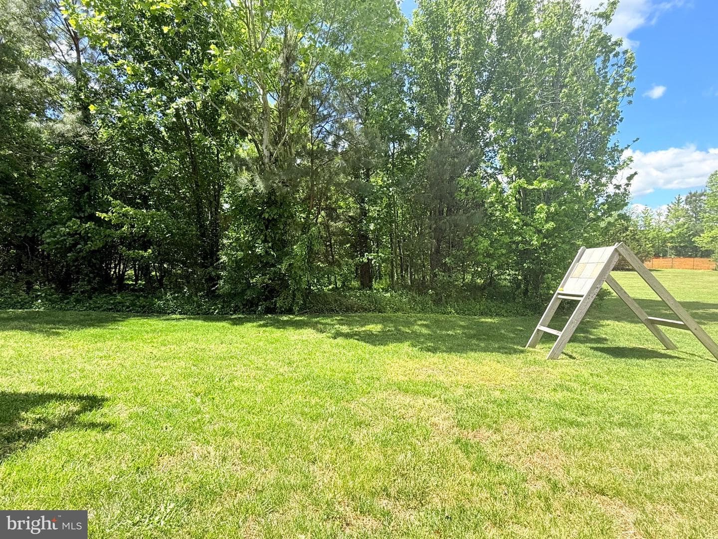 24331 Broad Creek Drive photo 38