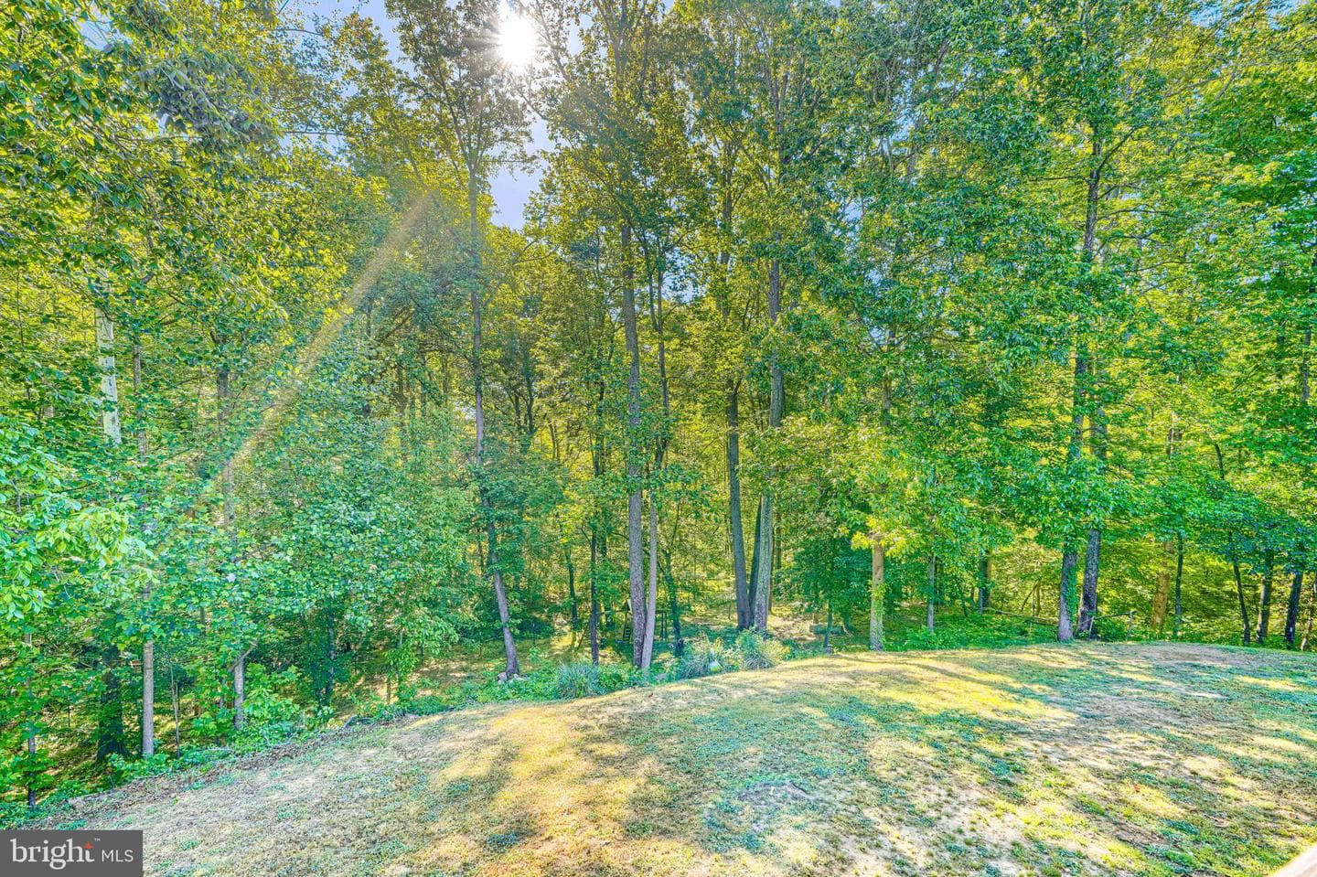 30126 Edinborough Drive photo 48
