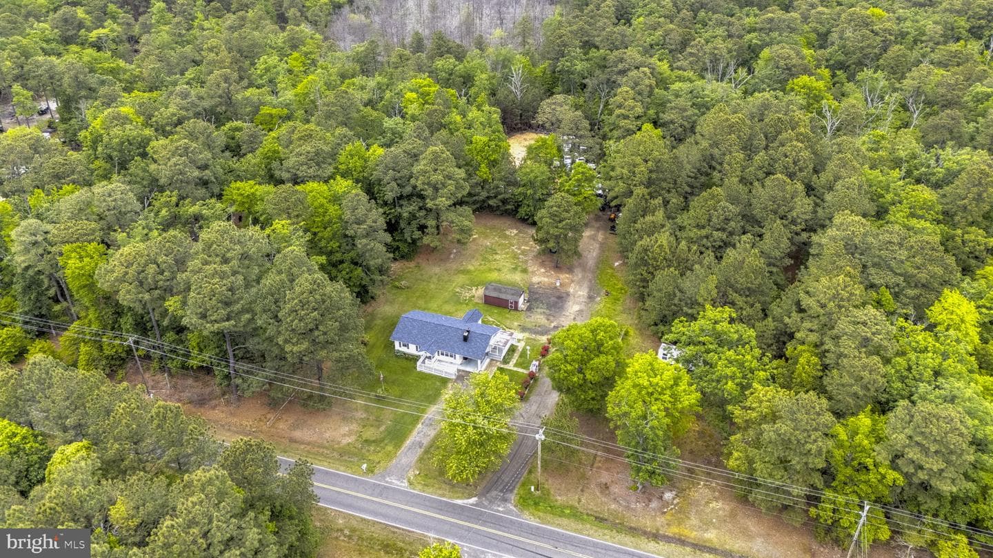 38330 Hatchet Thicket Road photo 3